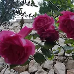 Tanja *